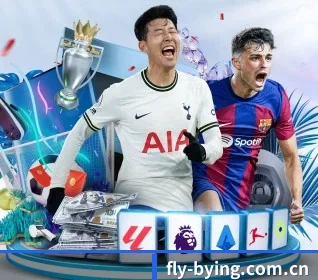 fly-bying.com.cn APP 界面
